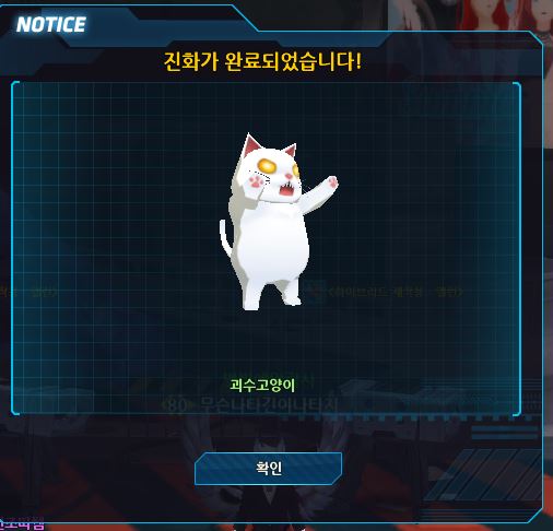 로오오옹오오옹옹옹오옹옹옹캣
